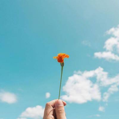 bet体育365官网正规