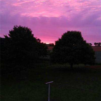 丰禾棋牌手机app下载